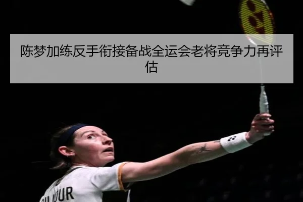 陈梦加练反手衔接备战全运会老将竞争力再评估 - Xingkong